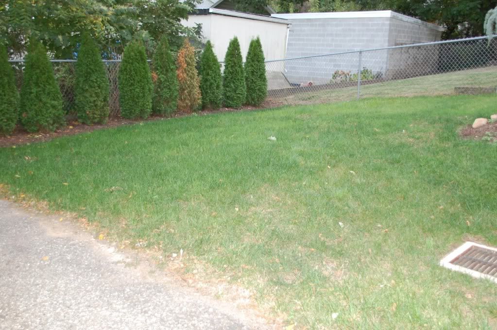 Help ReSeeding Lawn In Northern, NJ Lawn Care Forum